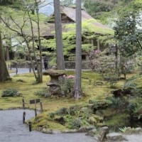 京都・奈良・広島へ　-5　（三千院の小さなお地蔵さん達を探して）　・・・　trip to Kyoto, Nara & Hiroshima -5