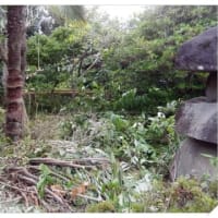植木場の開拓