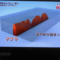 日本の岩石　ブラタモリ　2021..4.30　「61」
