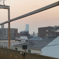 奥さんとの逢瀬1日目　関空から仙台へ