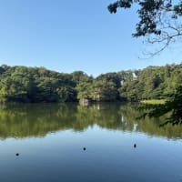 アギャギャーマン！