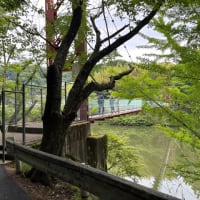 信貴山中の吊り橋