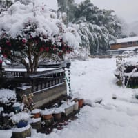 2024年辰年　今年もよろしくお願いします。　