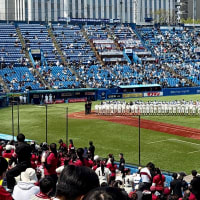 シーズン開幕！ 東京六大学野球 2025春季リーグ戦 早東戦（第1週 第1試合）・神宮球場