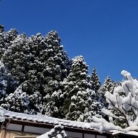 １／２４今季最強の寒波到来は県内山手に～大雪を？！