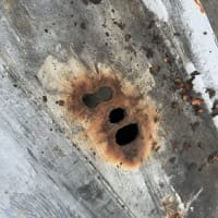 コンテナ防水塗装工事