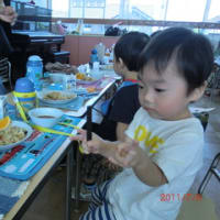 給食会