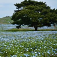 連休前のレジャー情報