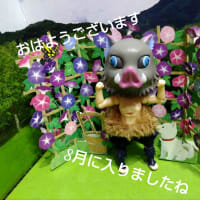 8月1日 火曜日