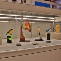 平城宮跡で野鳥写真展開催中！・・・夏鳥たちの小さな写真館