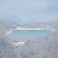 栃木県でダムめぐり2024（③日本一縦長のアーチダム）