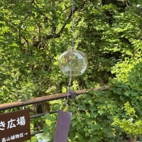 野草園