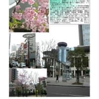 施設案内東京-540  赤坂サカス
