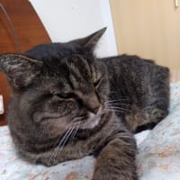 黄金か小金か