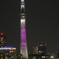 日向坂46の虹開催記念特別ライティング35