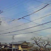 必見です！