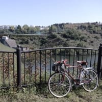 久々の自転車