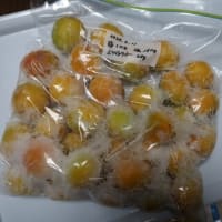 梅酒＆梅干し