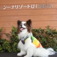 ふうたくんとレジーナ長浜(^^♪＆月命日