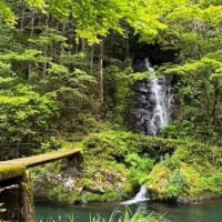 「堂林の滝」〔高知県越知町〕「聖神社」の訪問後に寄ってみませんか?