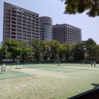 ７月７日鶴舞公園テニスコート