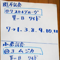 本日８月１４日 重賞レースより