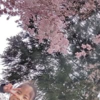 2023/04/16
