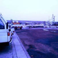 淡路島へお魚求めて買付け♪