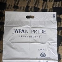 APAホテル、ルートインのランドリーバッグ比較！！