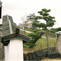 ええええって！感じです。
