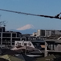 久しぶりに富士をみた