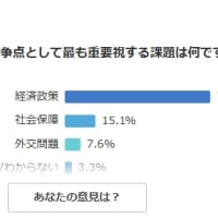 夏に予定されている参院選の争点として最も重要視する課題は何ですか？