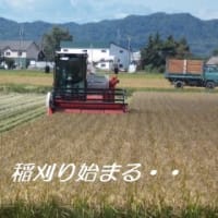 　今日から9月（長月）だ・・