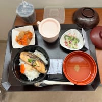 内視鏡下鼻副鼻腔手術を受けた。