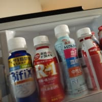 うちのヨーグルト売り場。