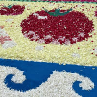 FLOWER  CARPET  2025