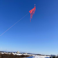 近くの堤防で連凧