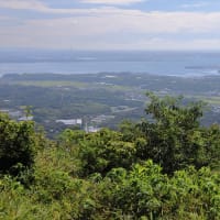 葦毛湿原から神石山へ