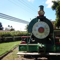 SUGAR CANE TRAIN