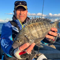 新年のクロダイ釣り
