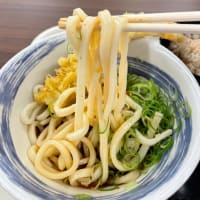 冷やしぶっかけうどん