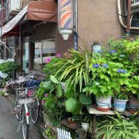 床屋さんぐる