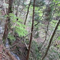 【源流見学】兵庫・播磨五川の源流探訪ポタ / ③夢前川