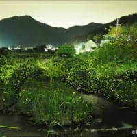 おはようございます！