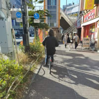 自転車専用通行帯(亀戸)
