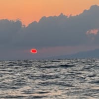 ノッコミ真鯛　今季2回目