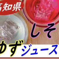 高知県の「柚子」と「シソ」のジュース、入荷致しました。