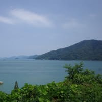 とびしま海道と牡蠣カレー