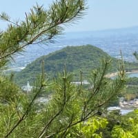 令和七年二月　小長谷修聖　三六九神示霊視篇