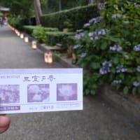 京都ロングステイ②